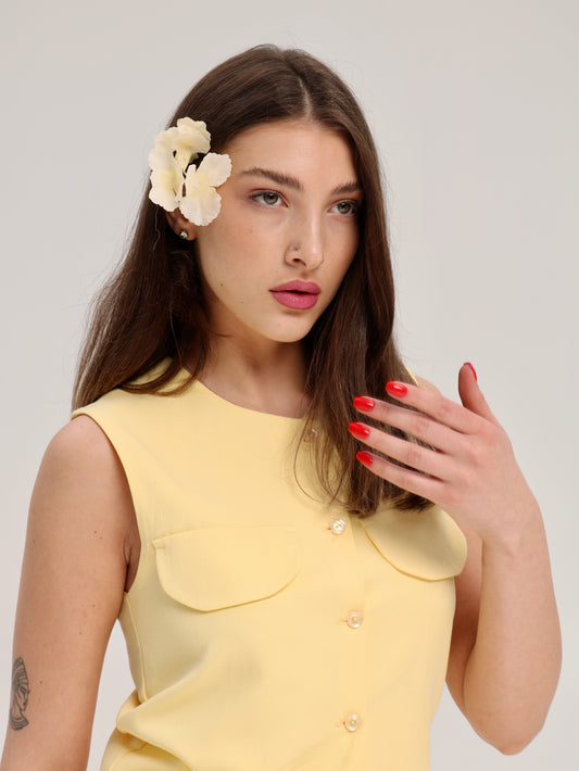 ყვითელი ჟილეტი/Yellow jacket