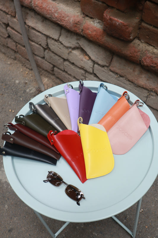 Sunglasses case